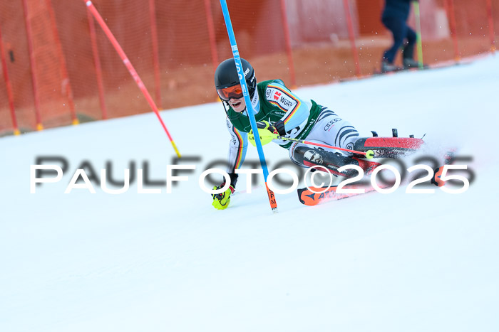 FIS Slalom Damen + Herren, 08.03.2025