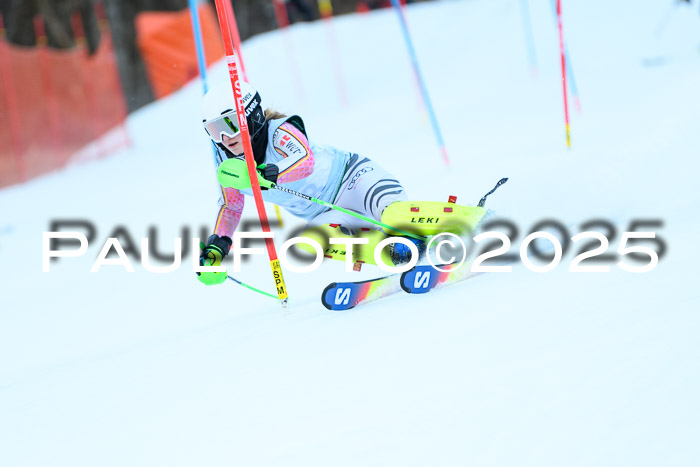 FIS Slalom Damen + Herren, 08.03.2025