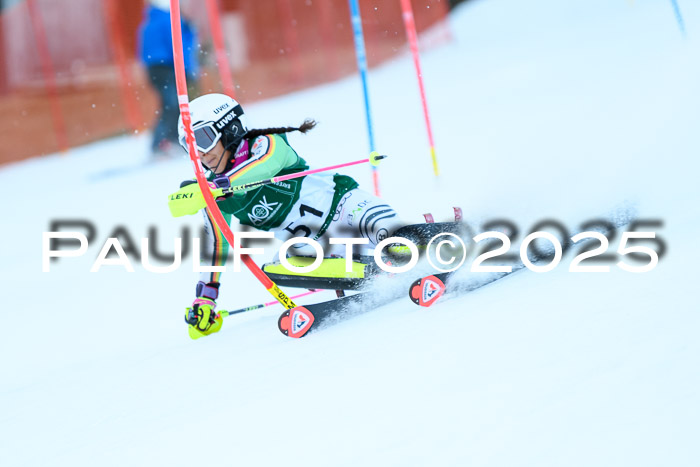 FIS Slalom Damen + Herren, 08.03.2025