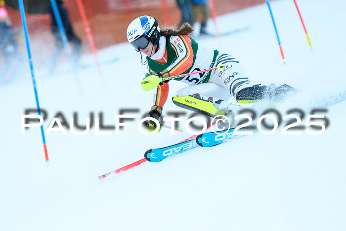 FIS Slalom Damen + Herren, 08.03.2025