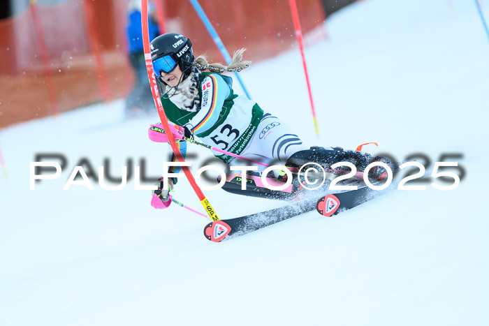 FIS Slalom Damen + Herren, 08.03.2025