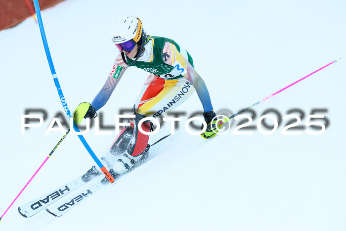 FIS Slalom Damen + Herren, 08.03.2025