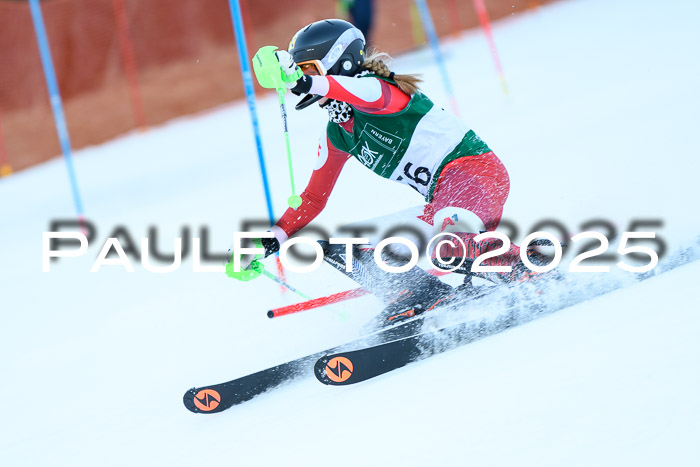 FIS Slalom Damen + Herren, 08.03.2025