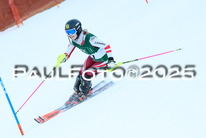 FIS Slalom Damen + Herren, 08.03.2025