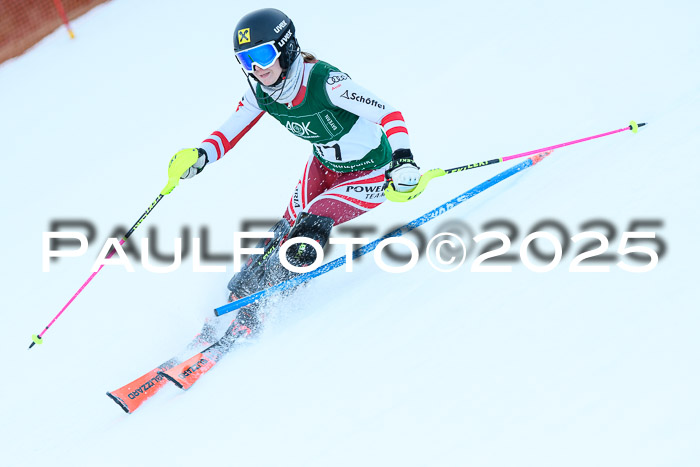 FIS Slalom Damen + Herren, 08.03.2025