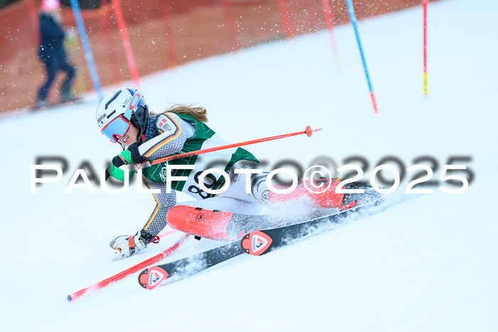 FIS Slalom Damen + Herren, 08.03.2025