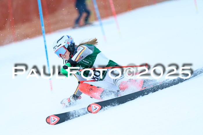 FIS Slalom Damen + Herren, 08.03.2025