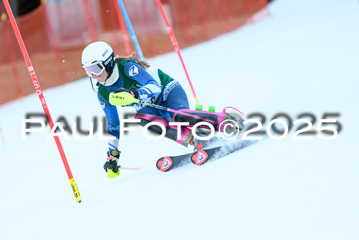 FIS Slalom Damen + Herren, 08.03.2025