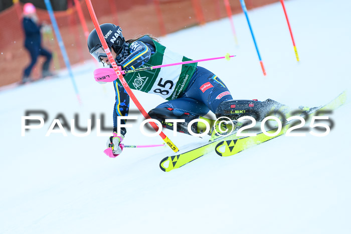 FIS Slalom Damen + Herren, 08.03.2025