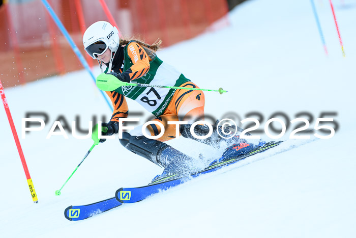 FIS Slalom Damen + Herren, 08.03.2025