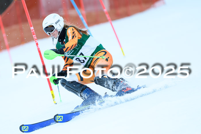 FIS Slalom Damen + Herren, 08.03.2025