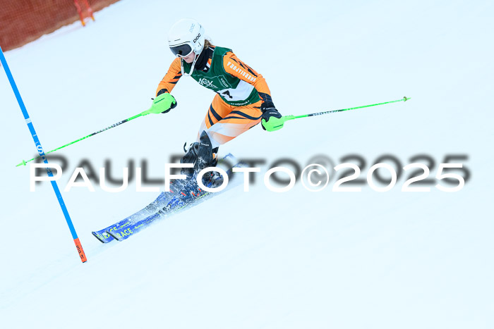 FIS Slalom Damen + Herren, 08.03.2025