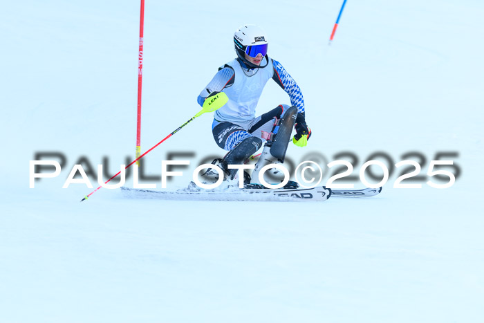 FIS Slalom Damen + Herren, 08.03.2025