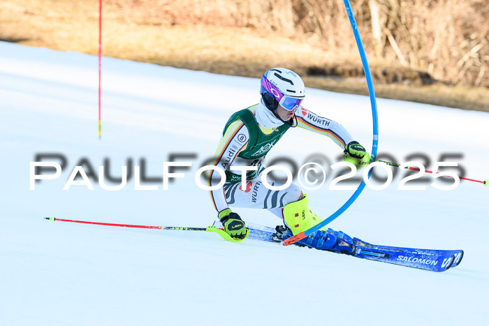 FIS Slalom Damen + Herren, 08.03.2025