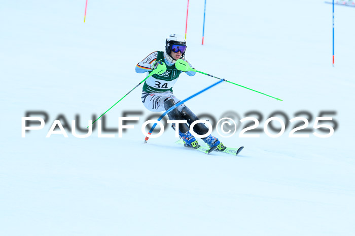 FIS Slalom Damen + Herren, 08.03.2025