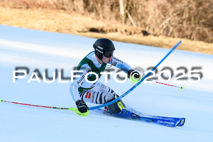 FIS Slalom Damen + Herren, 08.03.2025