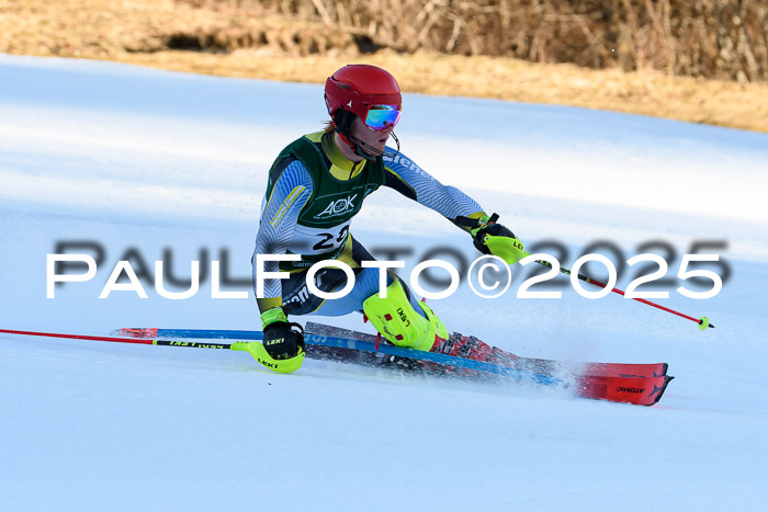 FIS Slalom Damen + Herren, 08.03.2025