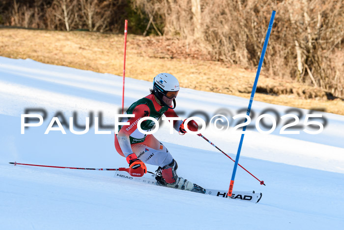 FIS Slalom Damen + Herren, 08.03.2025