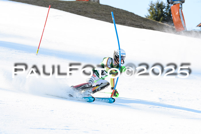 FIS Slalom Damen + Herren, 08.03.2025
