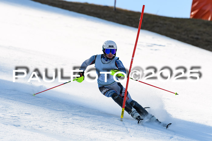 FIS Slalom Damen + Herren, 08.03.2025