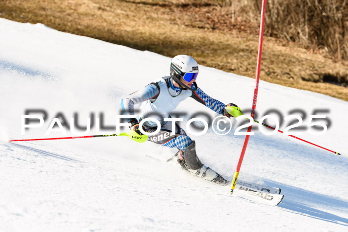 FIS Slalom Damen + Herren, 08.03.2025