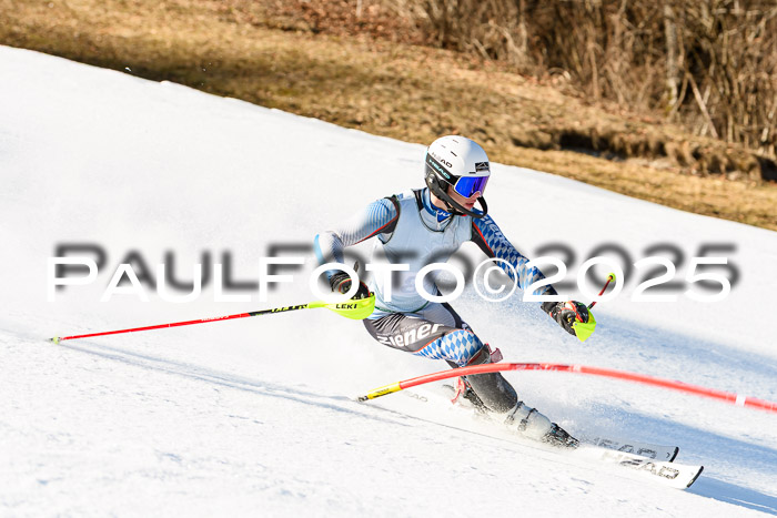 FIS Slalom Damen + Herren, 08.03.2025