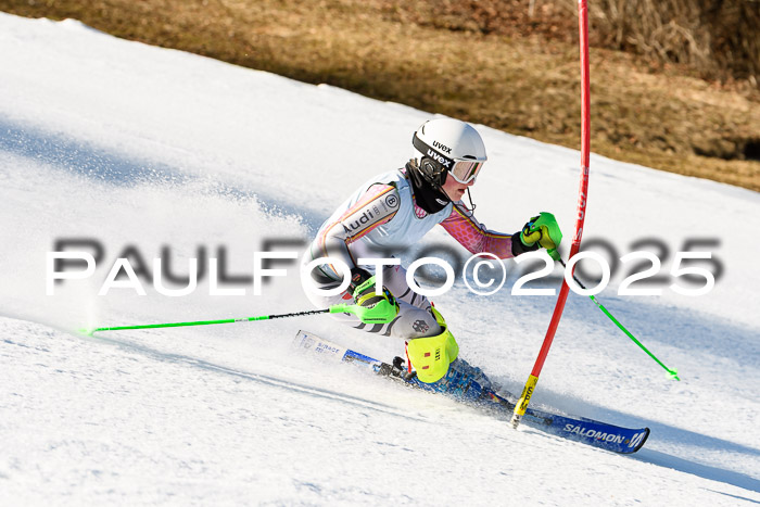 FIS Slalom Damen + Herren, 08.03.2025
