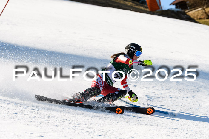 FIS Slalom Damen + Herren, 08.03.2025