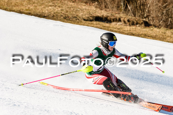 FIS Slalom Damen + Herren, 08.03.2025