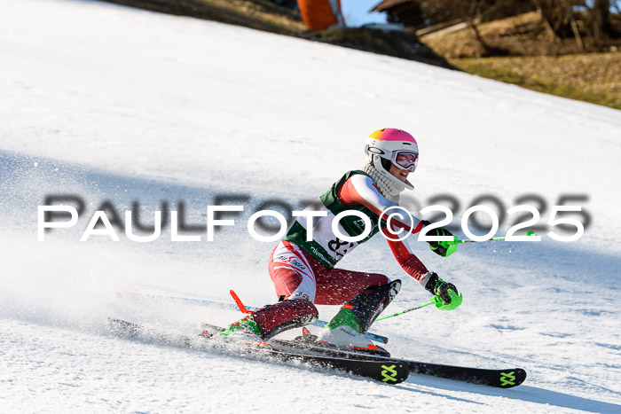 FIS Slalom Damen + Herren, 08.03.2025