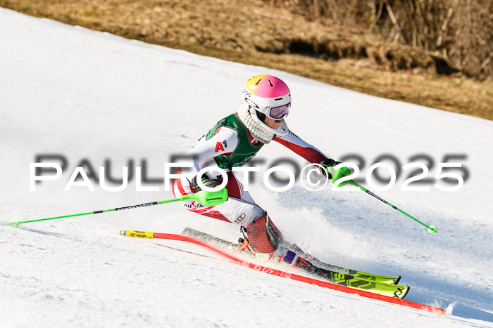 FIS Slalom Damen + Herren, 08.03.2025
