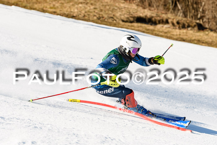 FIS Slalom Damen + Herren, 08.03.2025