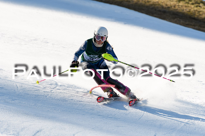 FIS Slalom Damen + Herren, 08.03.2025