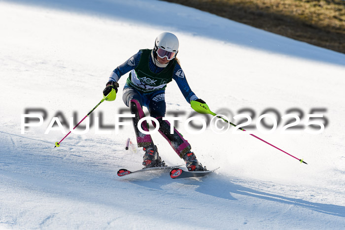 FIS Slalom Damen + Herren, 08.03.2025