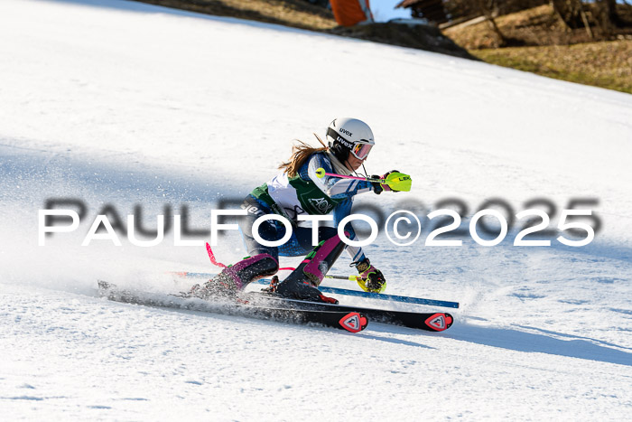 FIS Slalom Damen + Herren, 08.03.2025
