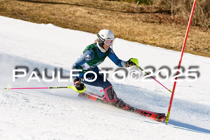 FIS Slalom Damen + Herren, 08.03.2025