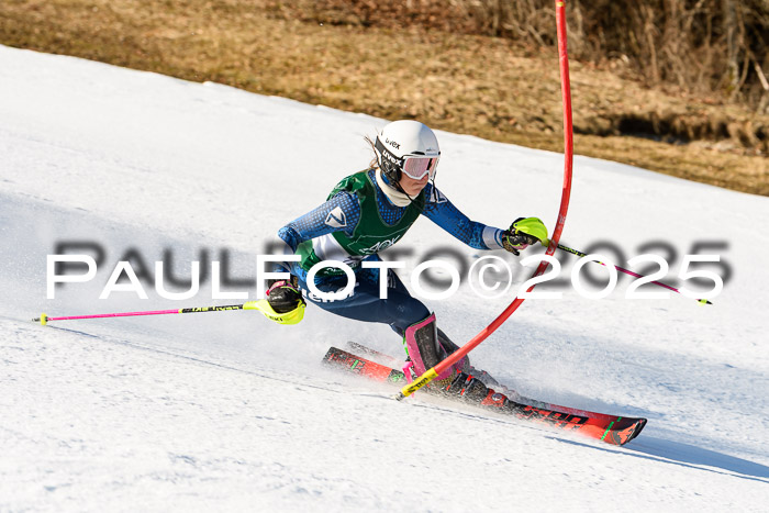 FIS Slalom Damen + Herren, 08.03.2025