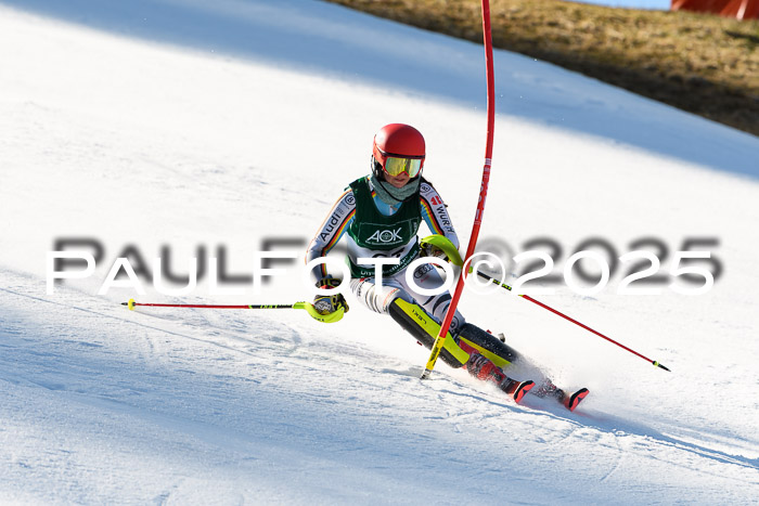 FIS Slalom Damen + Herren, 08.03.2025