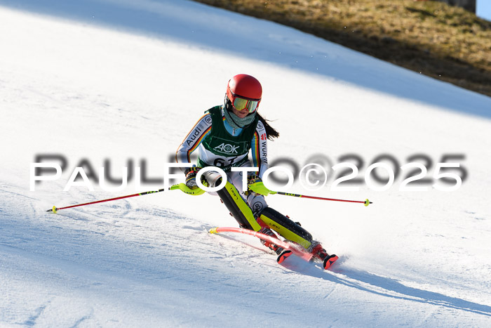 FIS Slalom Damen + Herren, 08.03.2025