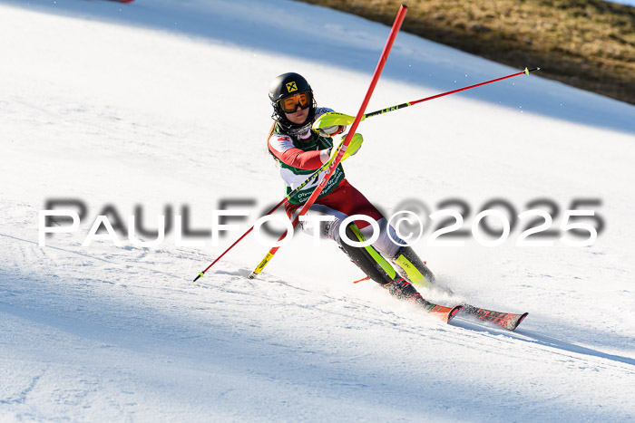 FIS Slalom Damen + Herren, 08.03.2025