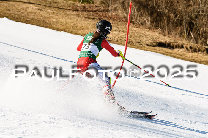 FIS Slalom Damen + Herren, 08.03.2025