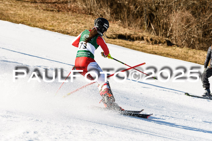 FIS Slalom Damen + Herren, 08.03.2025