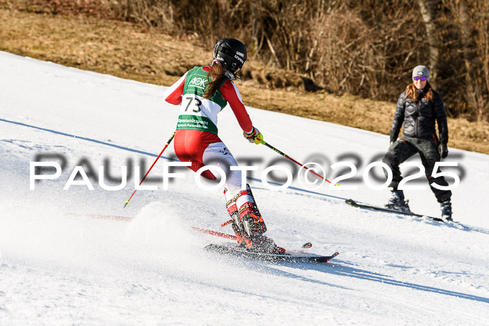 FIS Slalom Damen + Herren, 08.03.2025