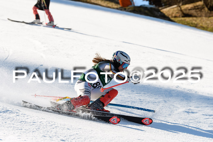 FIS Slalom Damen + Herren, 08.03.2025