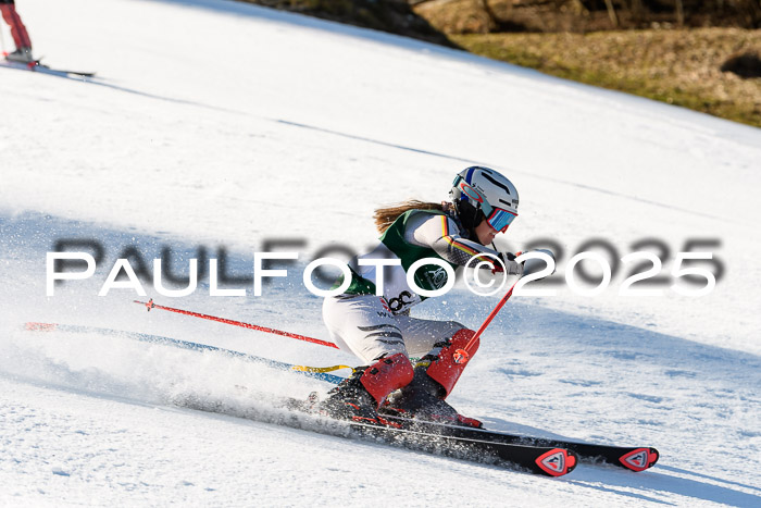 FIS Slalom Damen + Herren, 08.03.2025