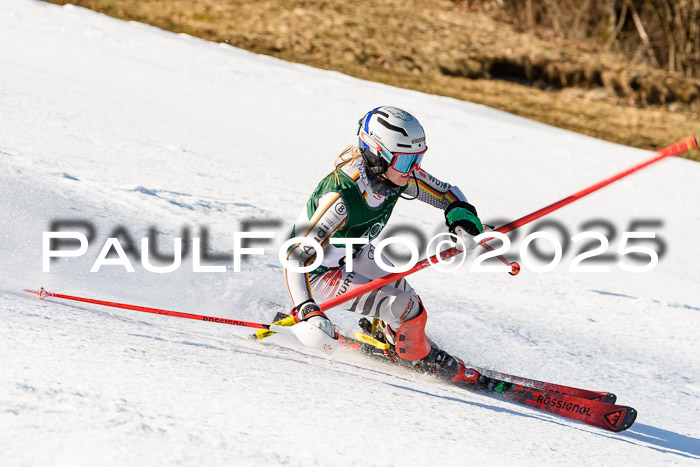 FIS Slalom Damen + Herren, 08.03.2025
