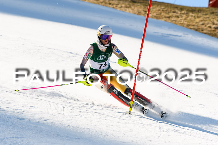 FIS Slalom Damen + Herren, 08.03.2025