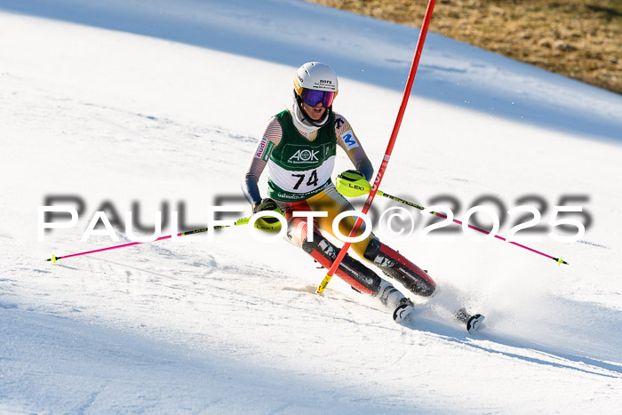 FIS Slalom Damen + Herren, 08.03.2025