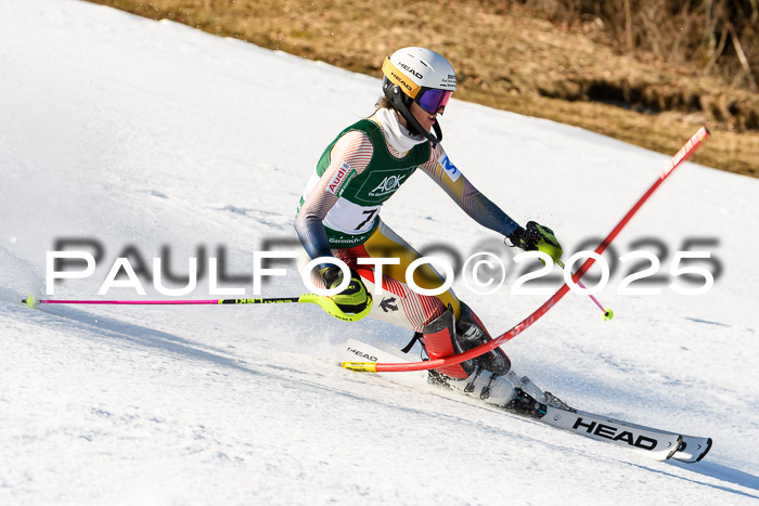 FIS Slalom Damen + Herren, 08.03.2025