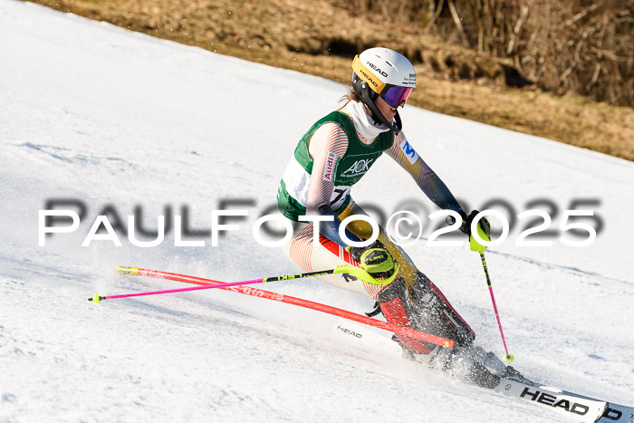 FIS Slalom Damen + Herren, 08.03.2025